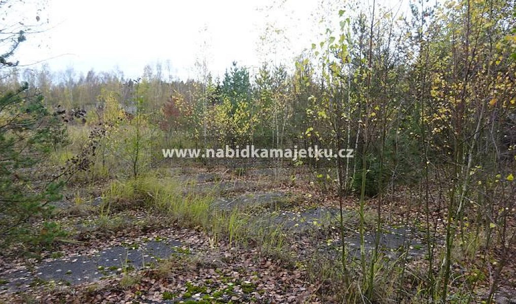 Prodej pozemku 2 171 m², Rožmitál pod Třemšínem – náhled fotky 2