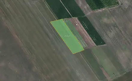 Prodej pole 20 968 m², Lednice, okres Břeclav