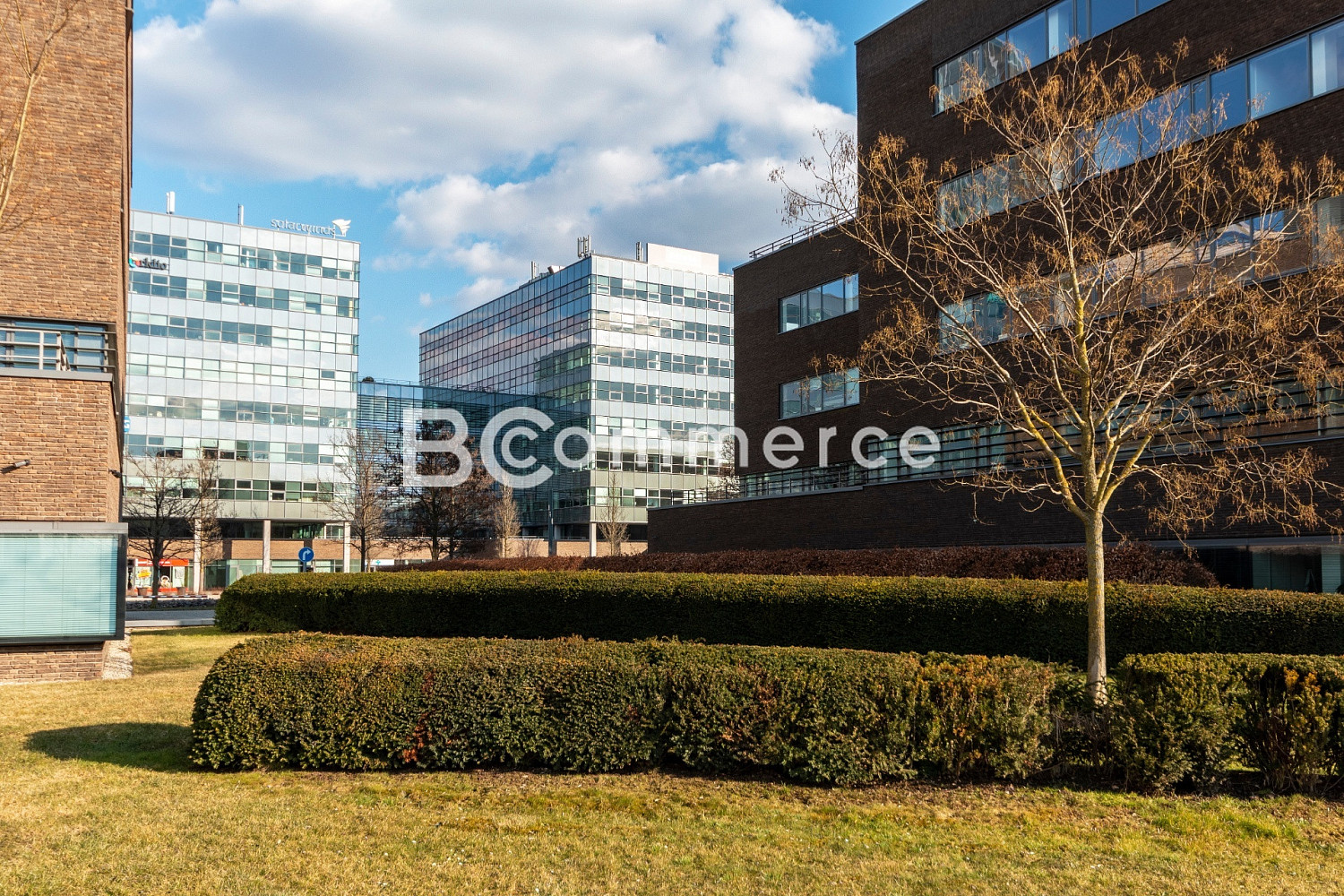 Moderní kancelářské prostory na prestižní adrese, 240 m² – pohled 4