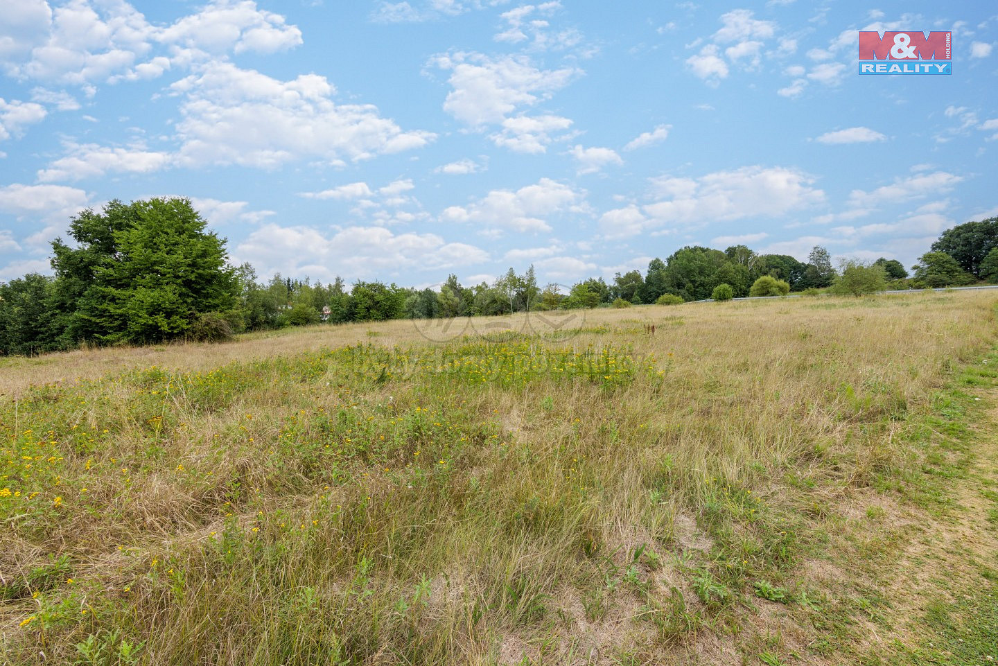 Prodej stavebního pozemku 13 462 m² – další