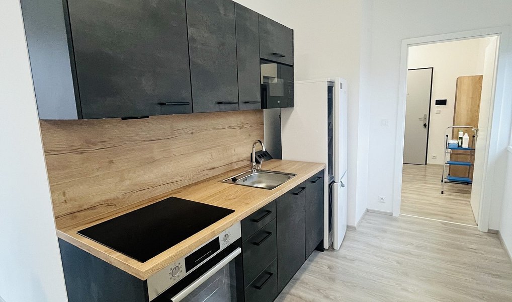 Pronájem bytu 1+kk, 60 m², Litoměřice, Lovosice