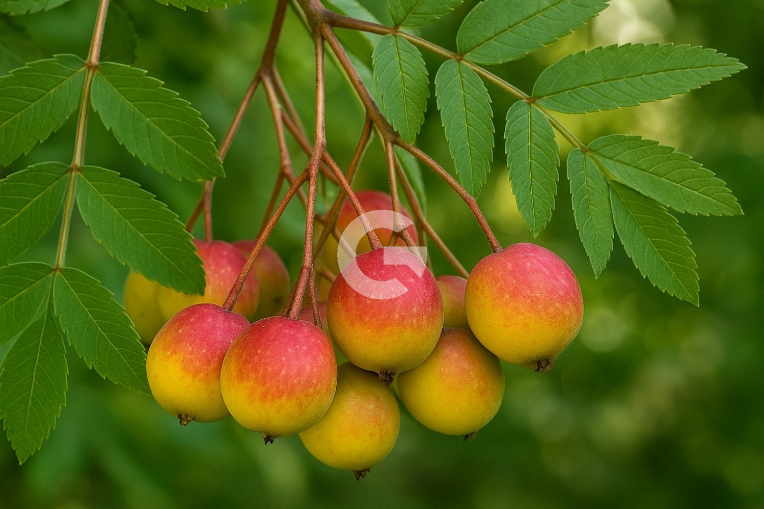Fotka 6 z 6