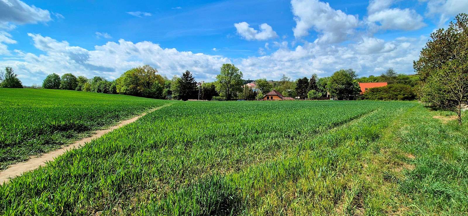 Prodej stavebního pozemku 12 385 m² – fotografie 4