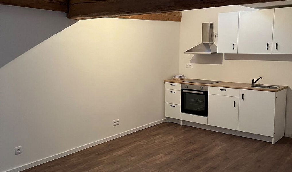 Pronájem bytu 3+kk 63 m², Třebenice – náhled fotky 4