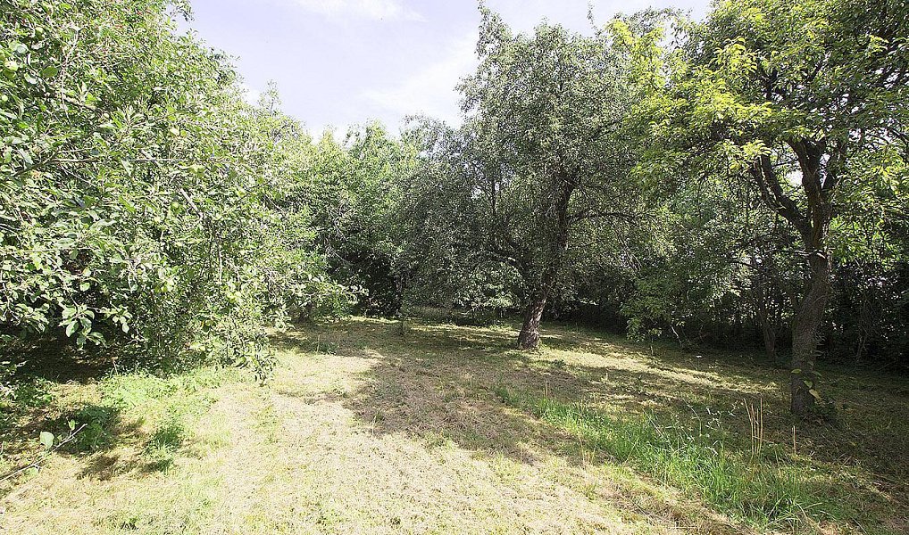 Prodej domu 100 m² s pozemkem 2 233 m², Kaliště – náhled fotky 5
