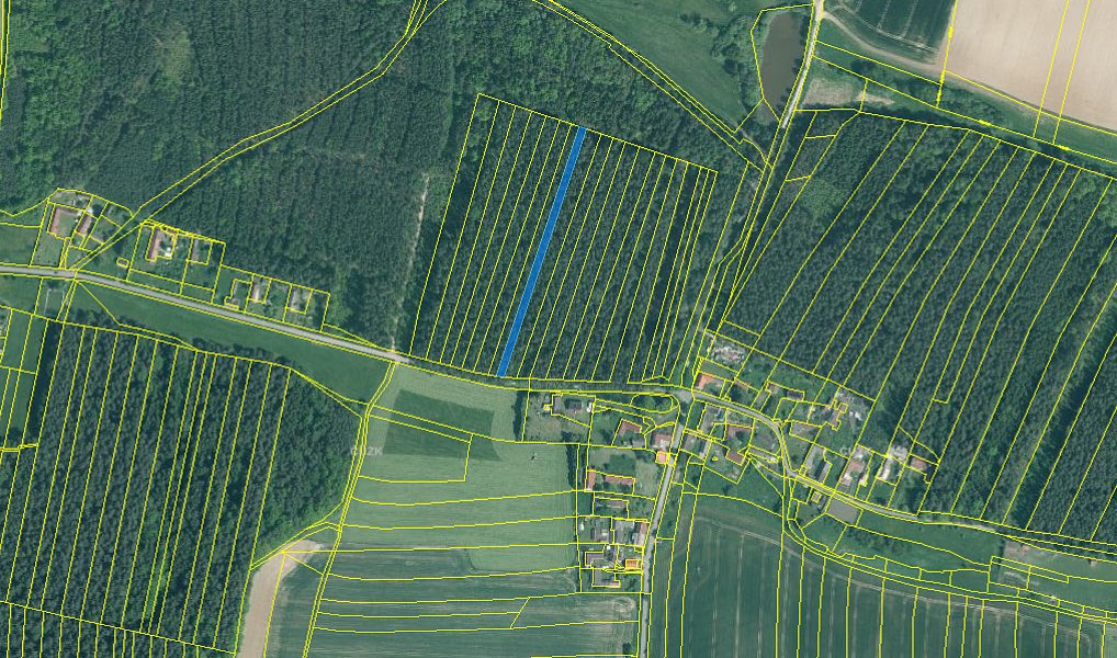 Prodej lesa 2 085 m², Dražíč – náhled fotky 2