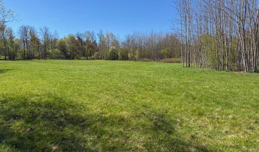 Prodej stavebního pozemku 8 053 m², Děpoltovice – náhled fotky 6