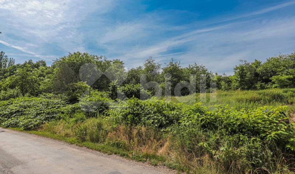 Prodej pozemku 735 m², Skapce – náhled fotky 2