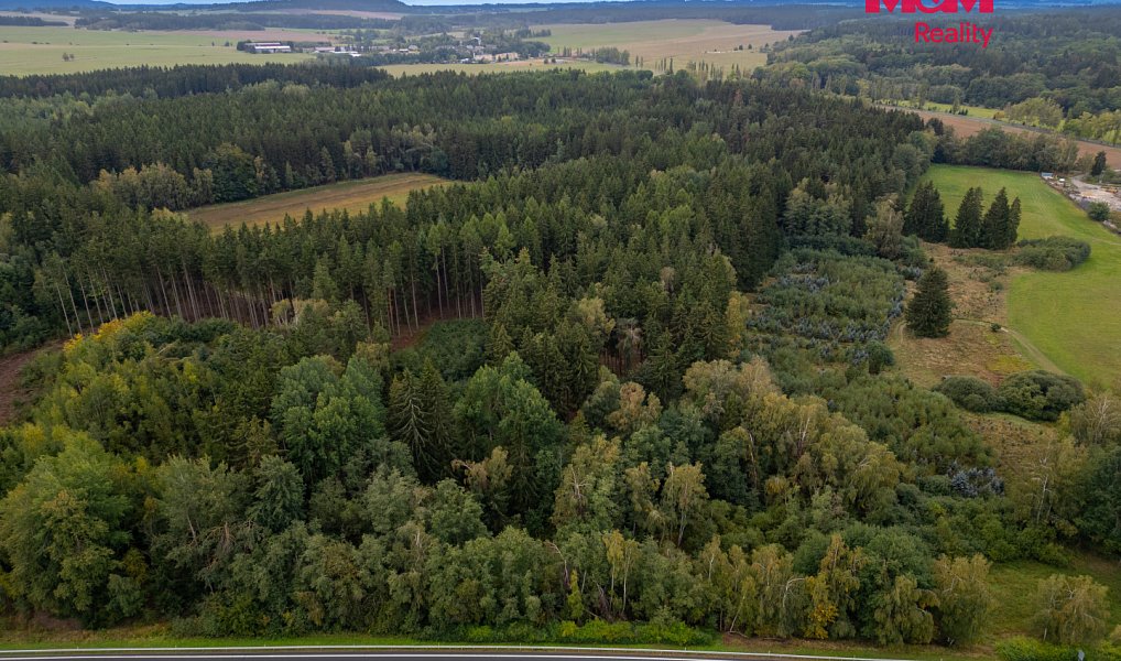 Prodej louky 7 137 m², Toužim – náhled fotky 3