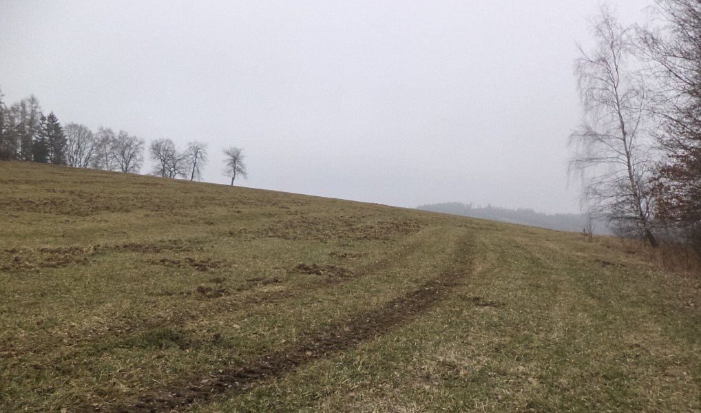 Prodej pozemku, 9983 m², Bořkovice - Benešov, Zvěstov