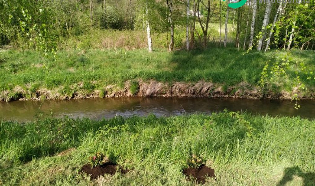 Prodej stavebního pozemku 963 m², Noviny pod Ralskem – náhled fotky 6