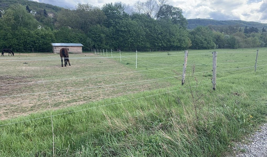 Prodej pozemku 48 982 m², Všenory – náhled fotky 3