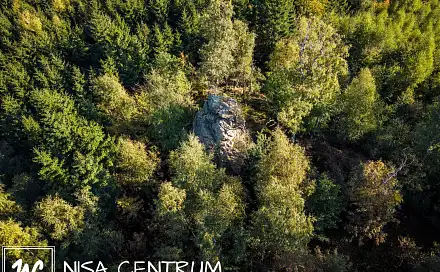 Prodej lesa 30 343 m², Šimonovice, okres Liberec