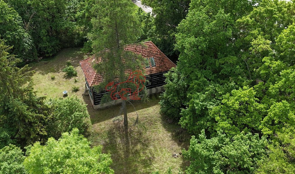 Prodej domu 183 m² s pozemkem 2 192 m², Dětenice – náhled fotky 7
