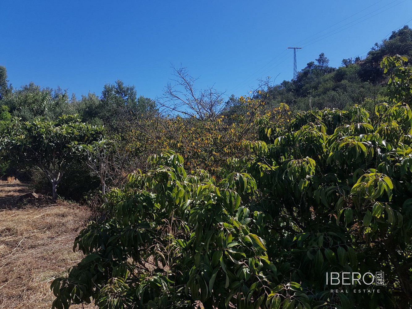 Casa 3+kk – Estepona - Vista 4