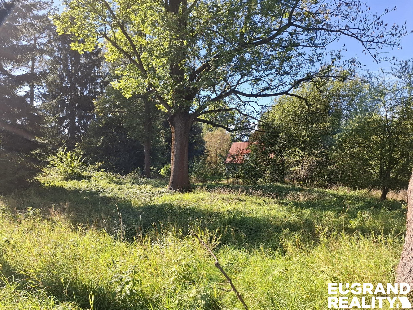 Prodej stavebního pozemku 1 656 m² – fotografie 2
