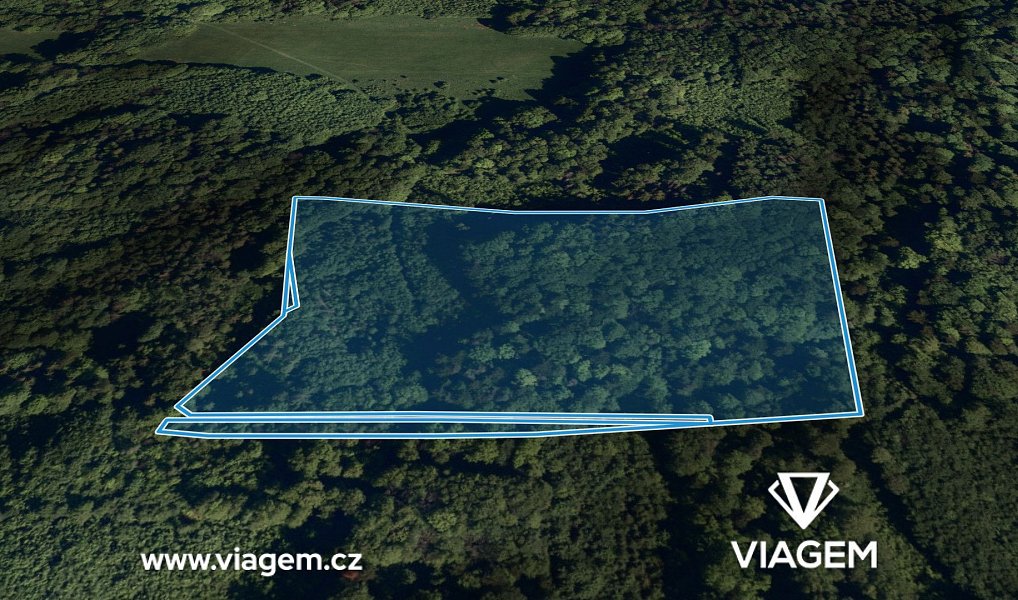 Prodej lesa 5 078 m², Životice u Nového Jičína – náhled fotky 2