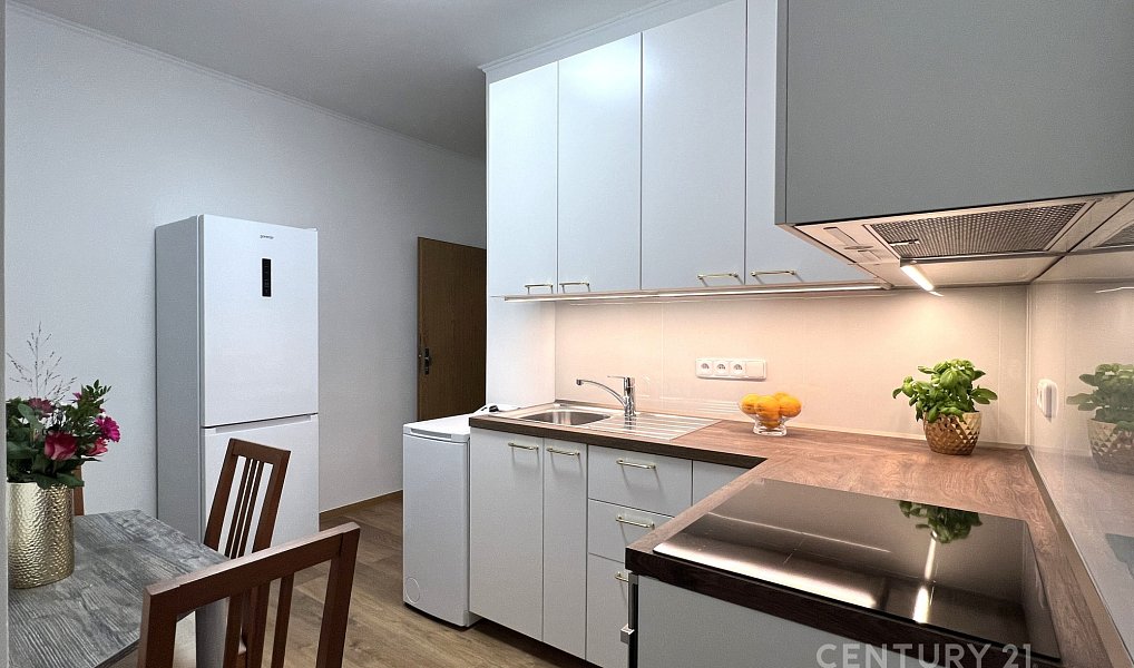 Pronájem bytu 2+1 45 m², Brno – náhled fotky 8