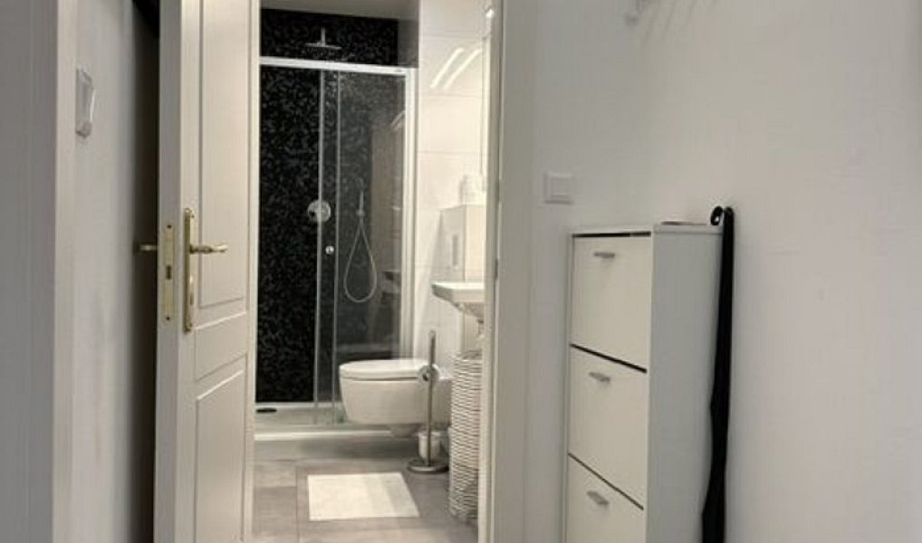 Pronájem bytu 1+kk 30 m², Praha – náhled fotky 5