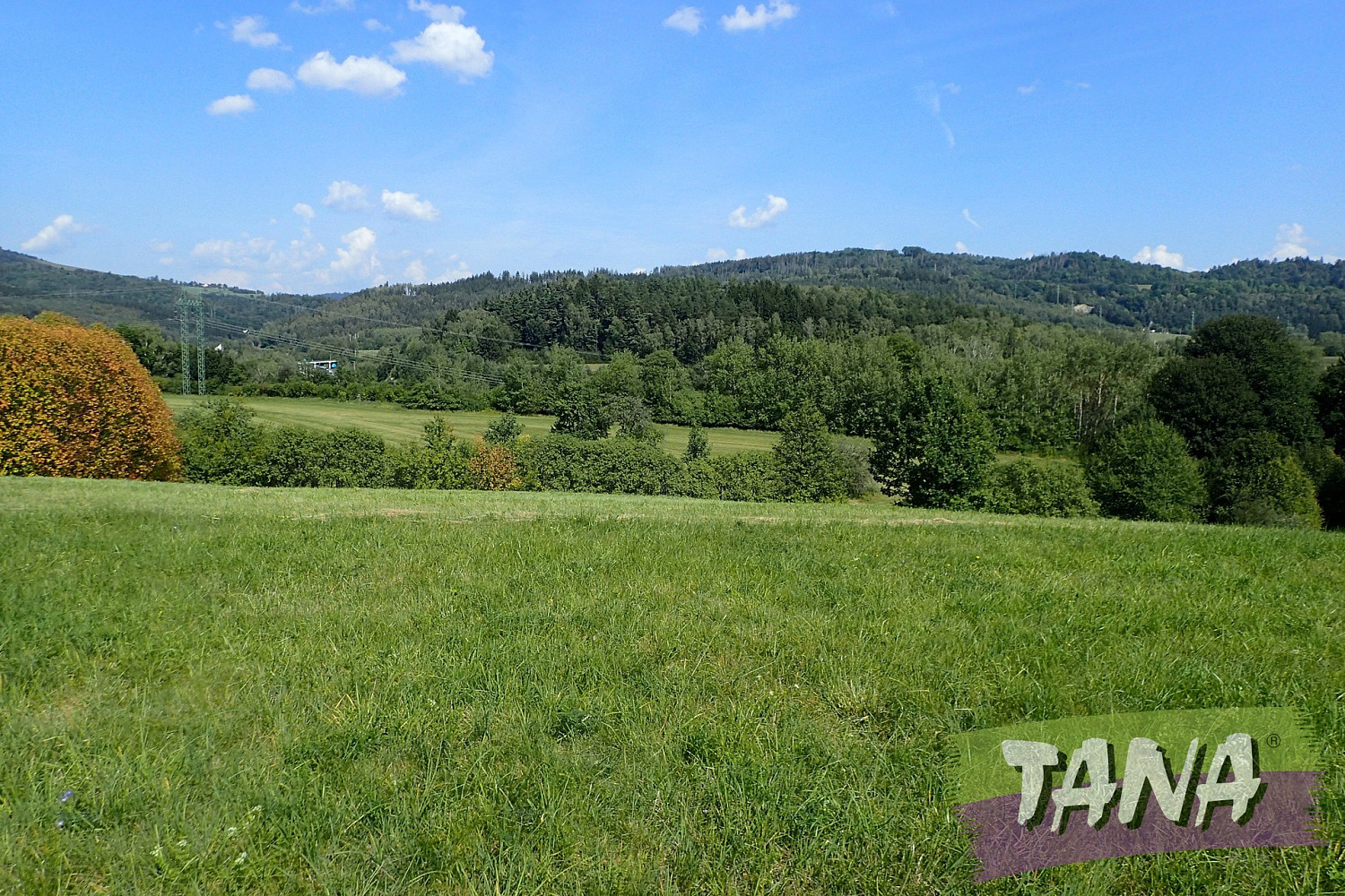 Prodej louky 49 051 m² – další