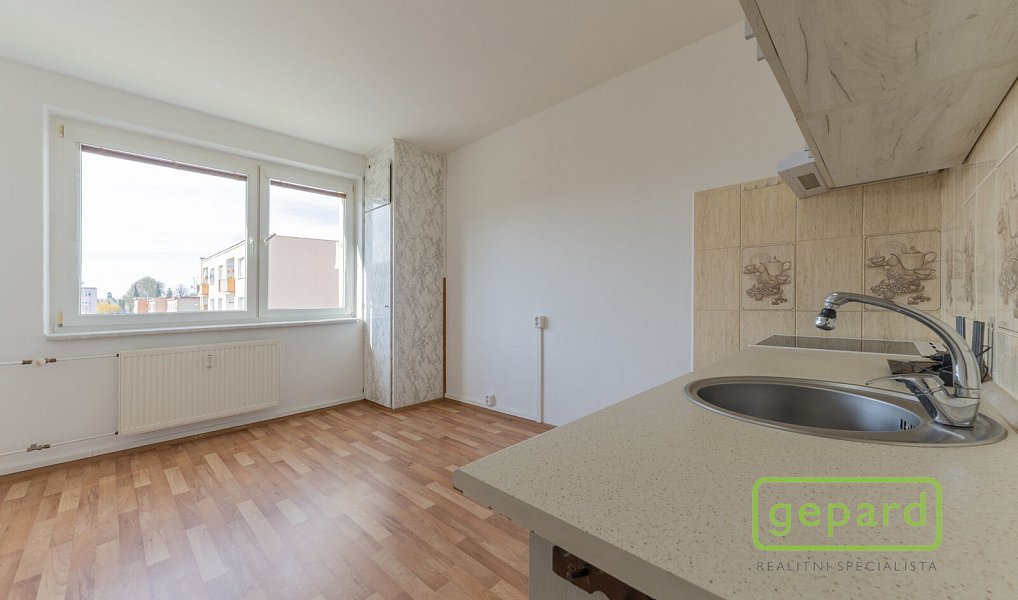 Pronájem bytu 1+1 35 m², Hazlov – náhled fotky 3