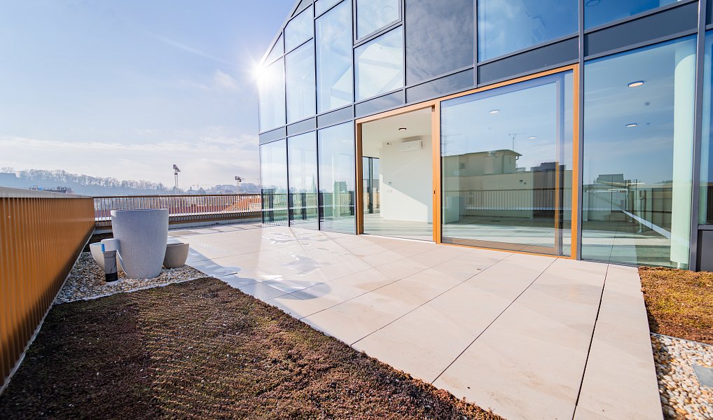 Prodej bytu 4+kk 162 m², Brno – náhled fotky 5