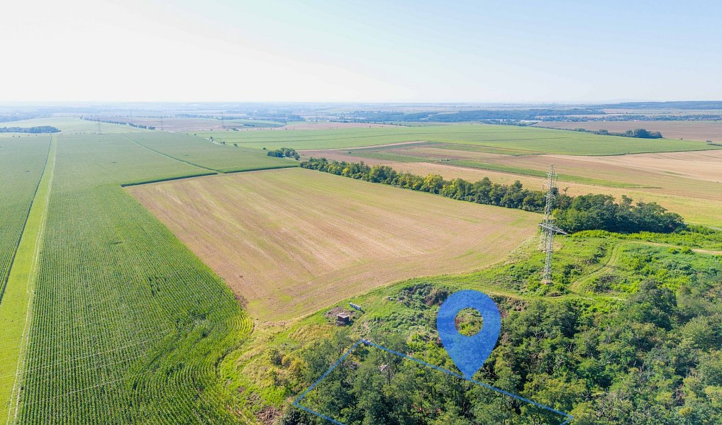 Prodej komerčního objektu (jiného typu) 71 m², Mikulovice – náhled fotky 13