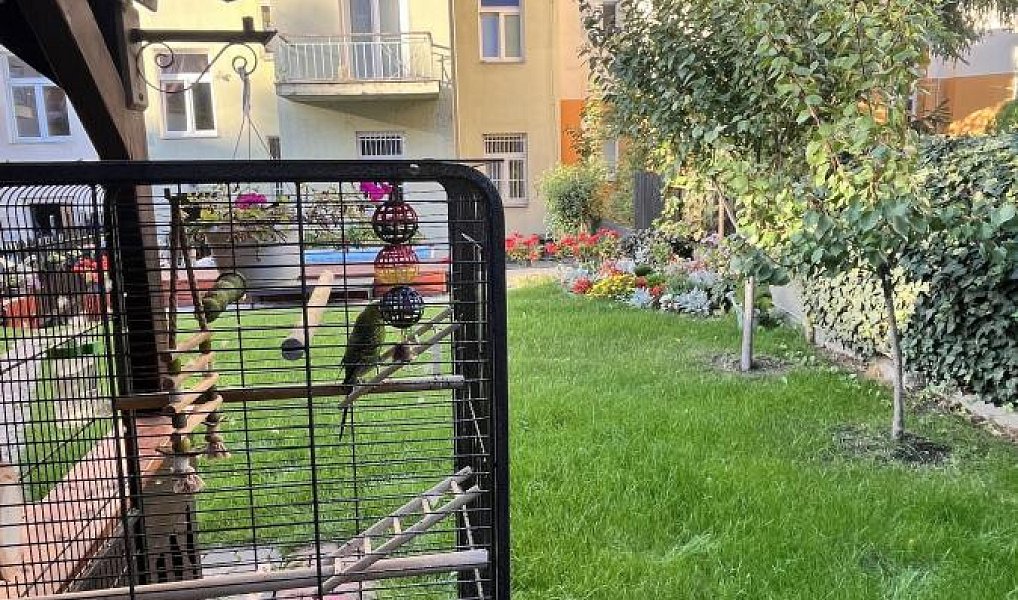 Prodej bytu atypického 139 m², Teplice – náhled fotky 12