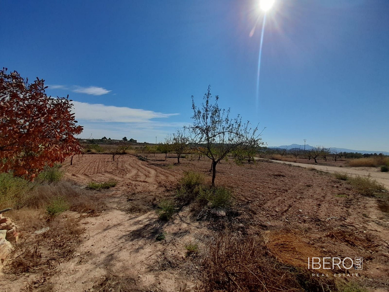 Casa 5+kk – el Pinós / Pinoso, el Vinalopó Mitjà / El Vinalopó Medio - Vista 2