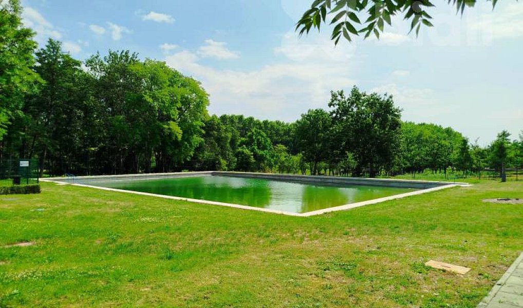 Prodej stavebního pozemku 1 313 m², Čejkovice – náhled fotky 17