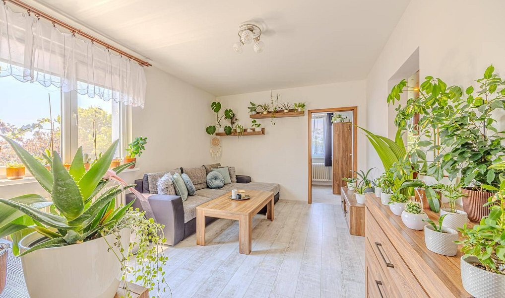 Prodej bytu 3+1 58 m², Ostrava – náhled fotky 15