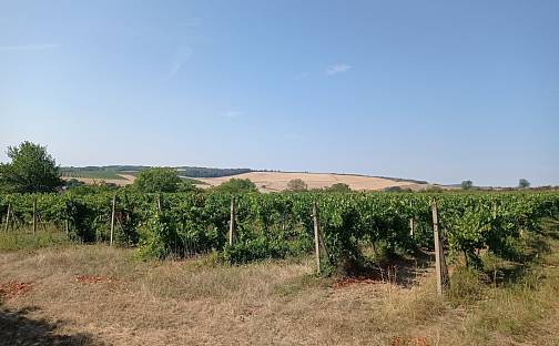 Prodej pozemku 3 162 m², Valtice - Úvaly, okres Břeclav