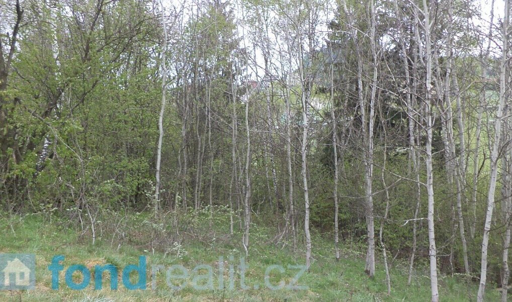 Prodej pozemku 8 296 m², Mosty u Jablunkova – náhled fotky 12