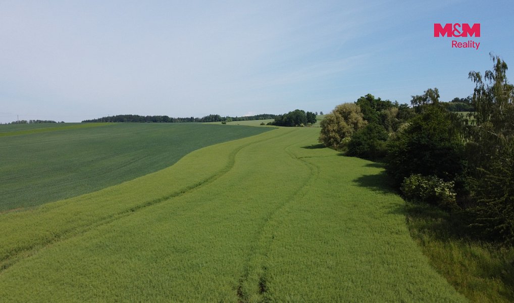 Prodej pole 99 905 m², Markvartice – náhled fotky 3
