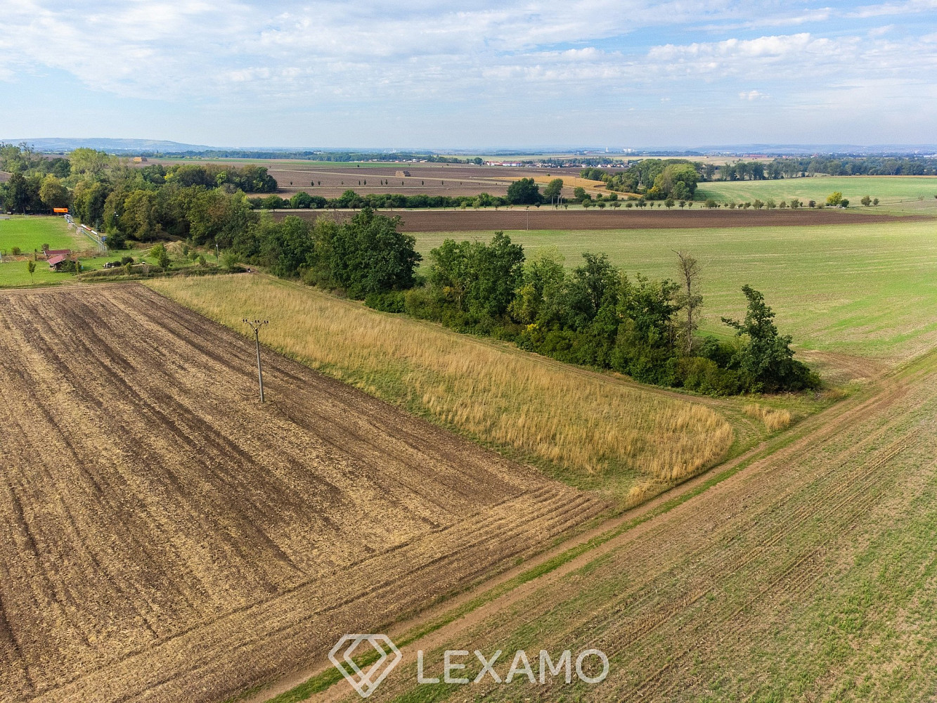 Prodej pole 5 903 m² – fotografie 5
