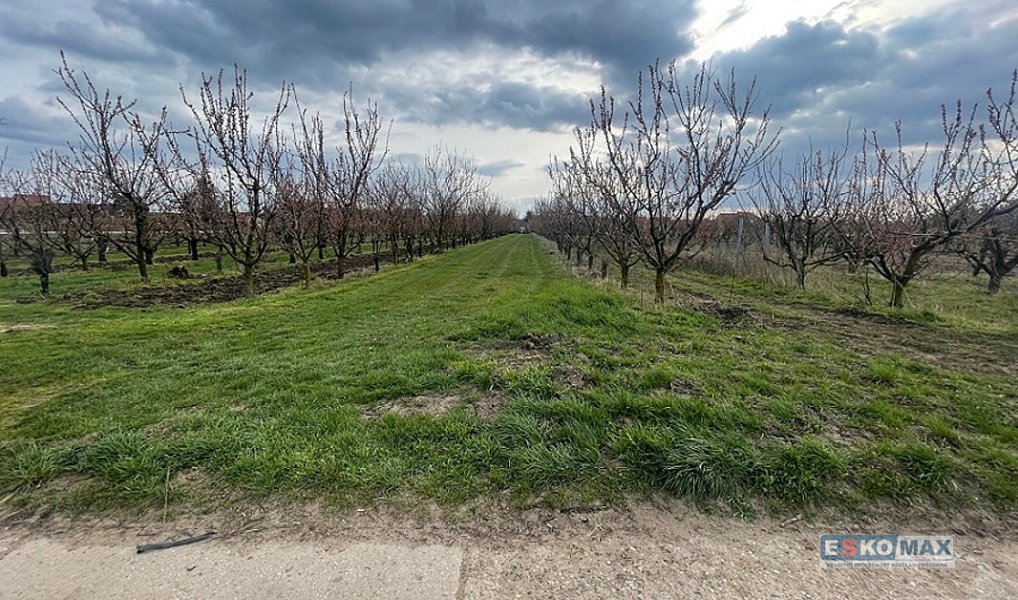 Prodej stavebního pozemku 1 491 m², Moravský Žižkov – náhled fotky 5
