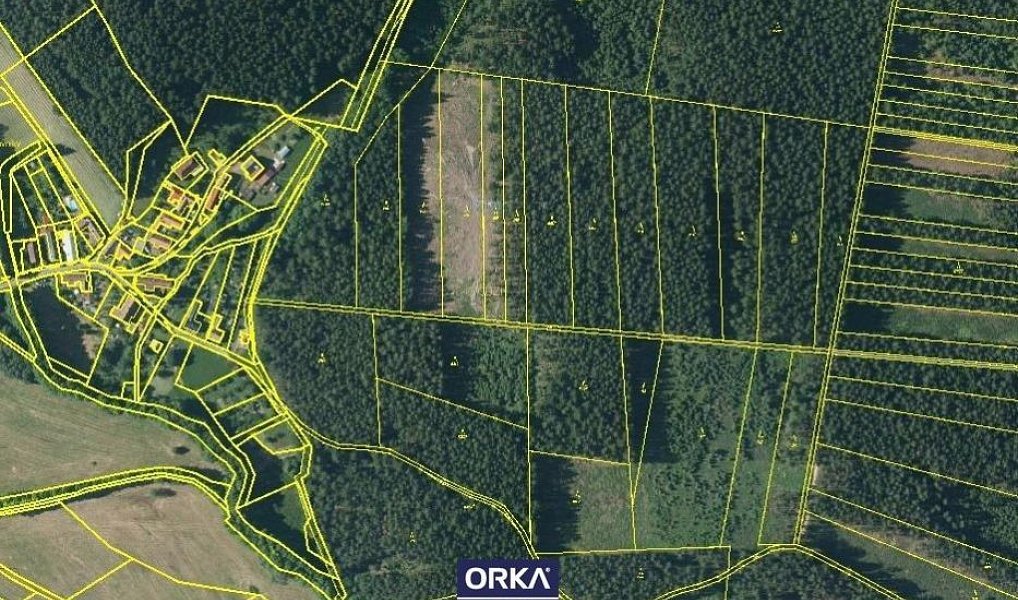 Prodej lesa 5 078 m², Budětsko – náhled fotky 4