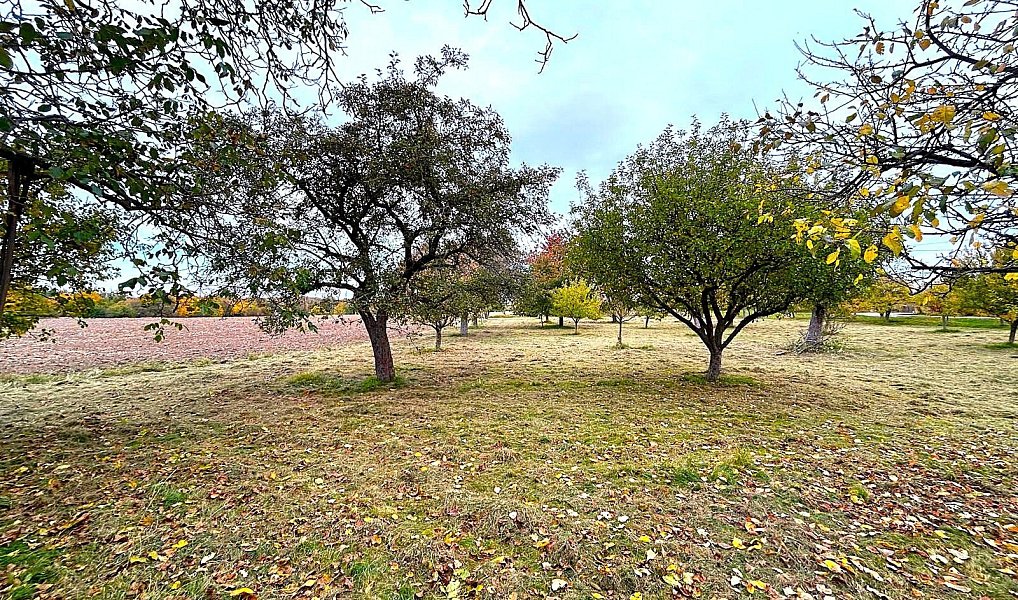 Pronájem stavebního pozemku 173 500 m², Kramolín – náhled fotky 12