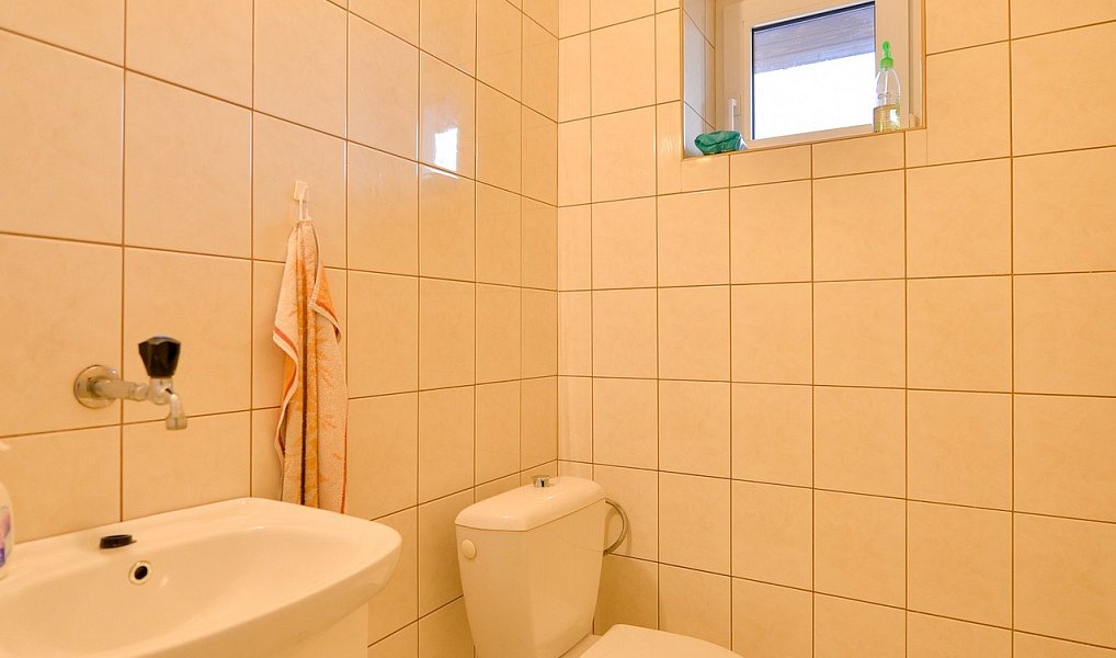Prodej domu 187 m² s pozemkem 289 m², Dobrá Voda u Českých Budějovic – náhled fotky 12