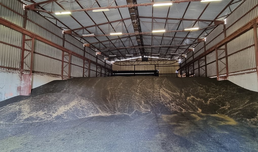 Prodej skladovacích prostor 18 200 m², Bor – náhled fotky 5