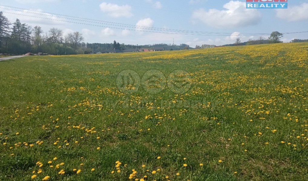 Prodej pole 68 457 m², Malá Roudka – náhled fotky 5