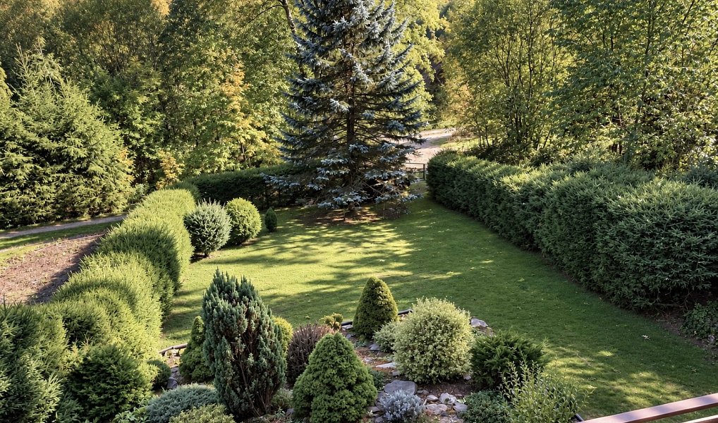 Prodej chaty/chalupy 61 m² s pozemkem 448 m², Lipová – náhled fotky 5
