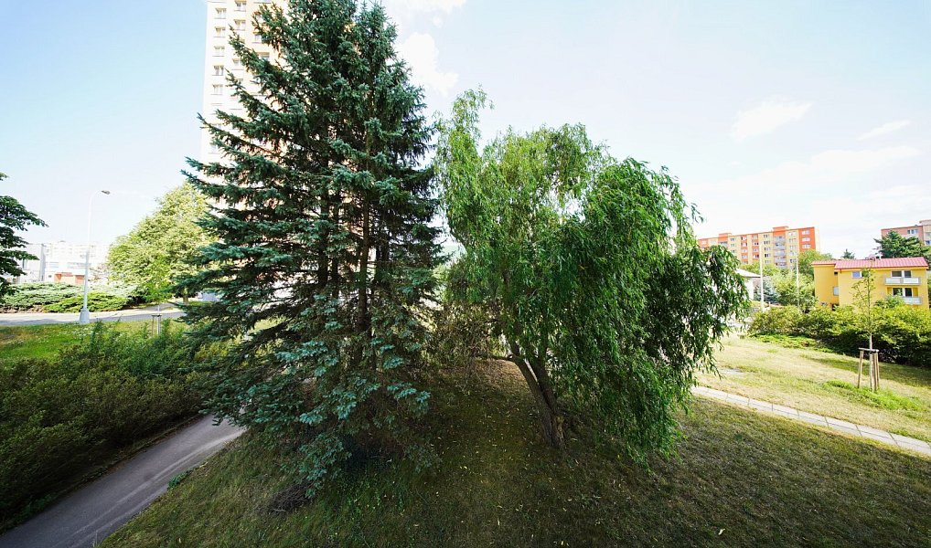 Prodej bytu 3+kk 52 m², Praha – náhled fotky 15