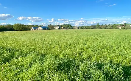 Prodej stavebního pozemku 1 584 m², Horní Bludovice - Prostřední Bludovice, okres Karviná