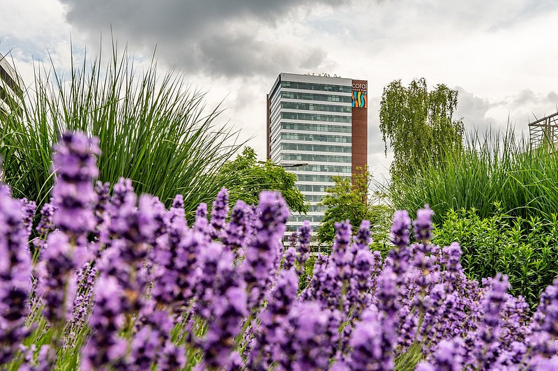 Pronájem kanceláře 280 m² – fotografie 2