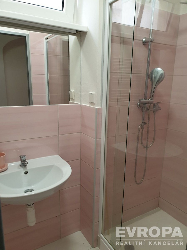 Pronájem bytu 1+kk 39 m² — photo 3