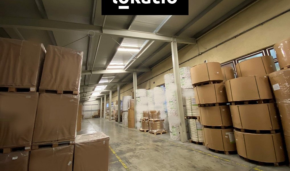 Pronájem skladovacích prostor 600 m², Zábřeh – náhled fotky 4