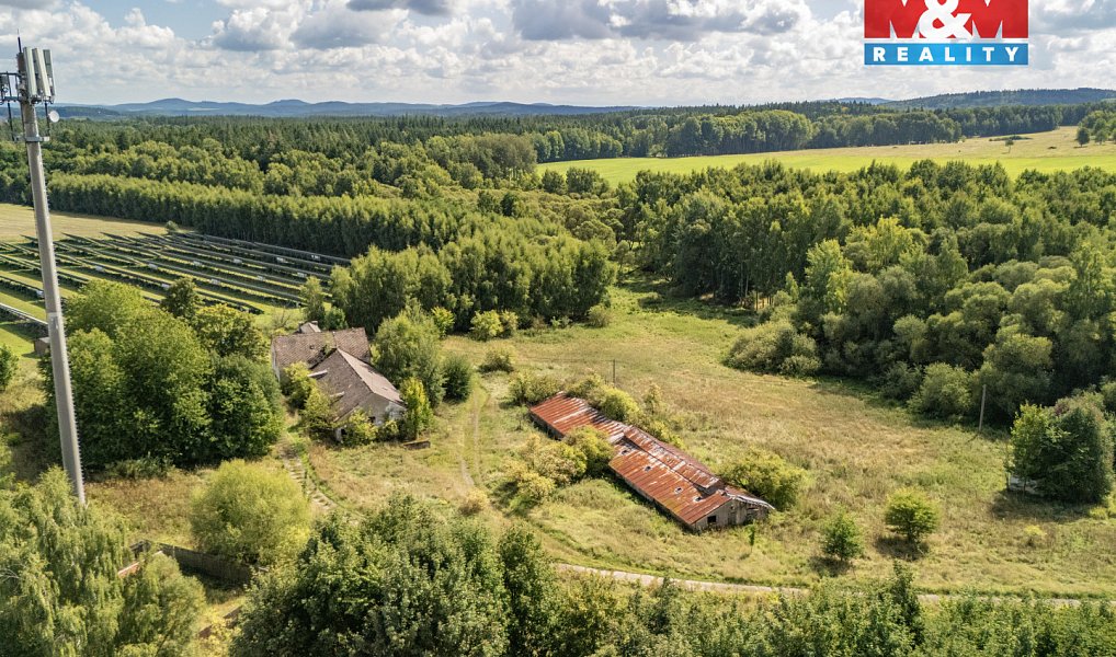 Prodej pole 238 031 m², Přimda – náhled fotky 6
