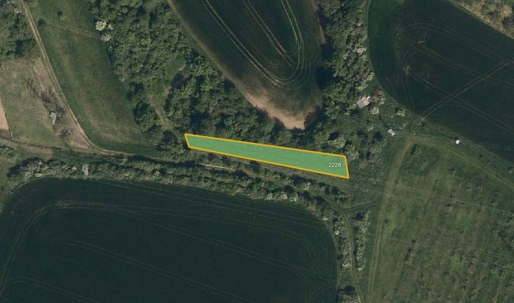 Prodej pole 5 062 m², Svatobořice-Mistřín – náhled fotky 2