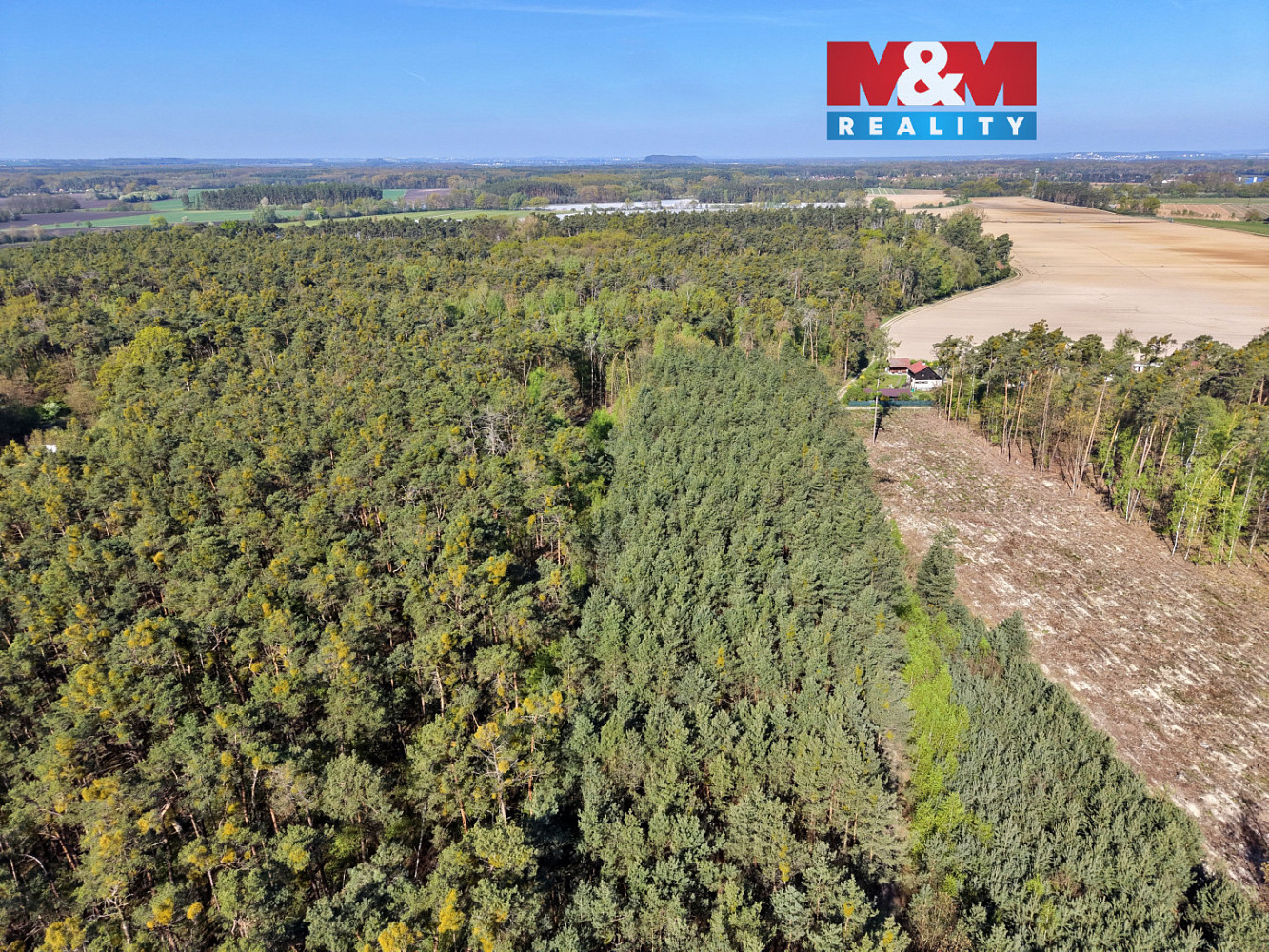 Prodej lesa 4 769 m²